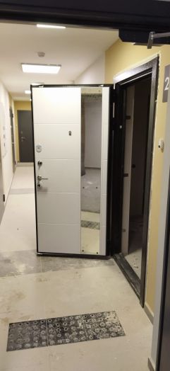 Входная дверь Лабиринт Нью-Йорк 19 с Зеркалом Белый софт