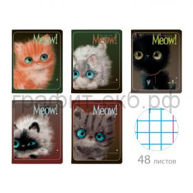 Тетрадь А5 48л.кл.Альт KITTY LIFE 7-48-1184
