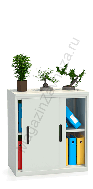 Шкаф-купе архивный ALS-8896