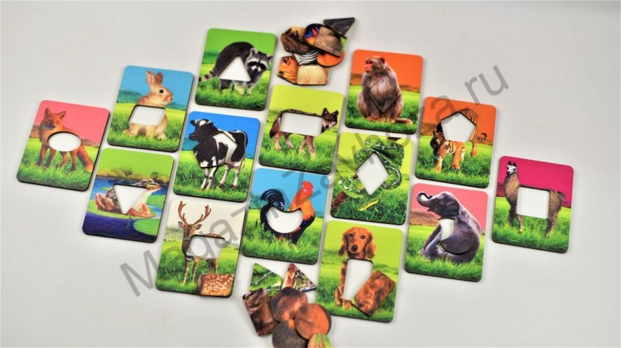 Игровой набор ГДЕ ЧЬЯ ШКУРКА (по методике Сегена) (ХДФ)