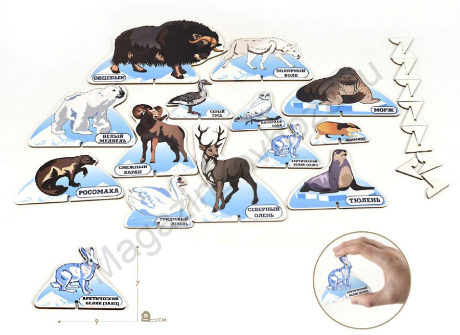Набор фигурок ЖИВОТНЫЕ СЕВЕРА малый ХДФ