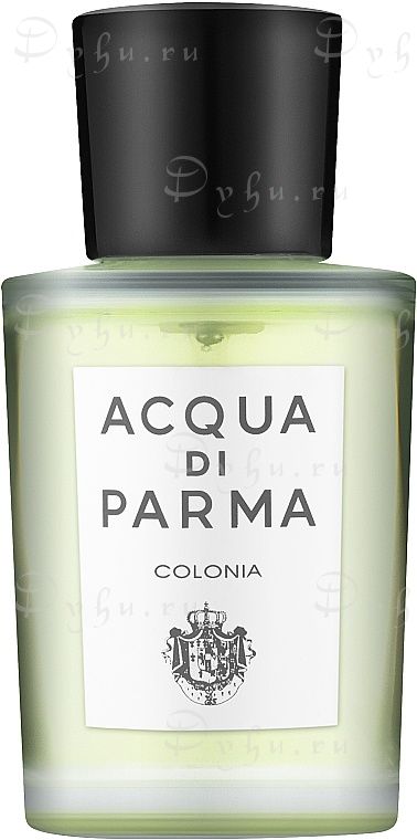 Acqua Di Parma Colonia Eau de Cologne