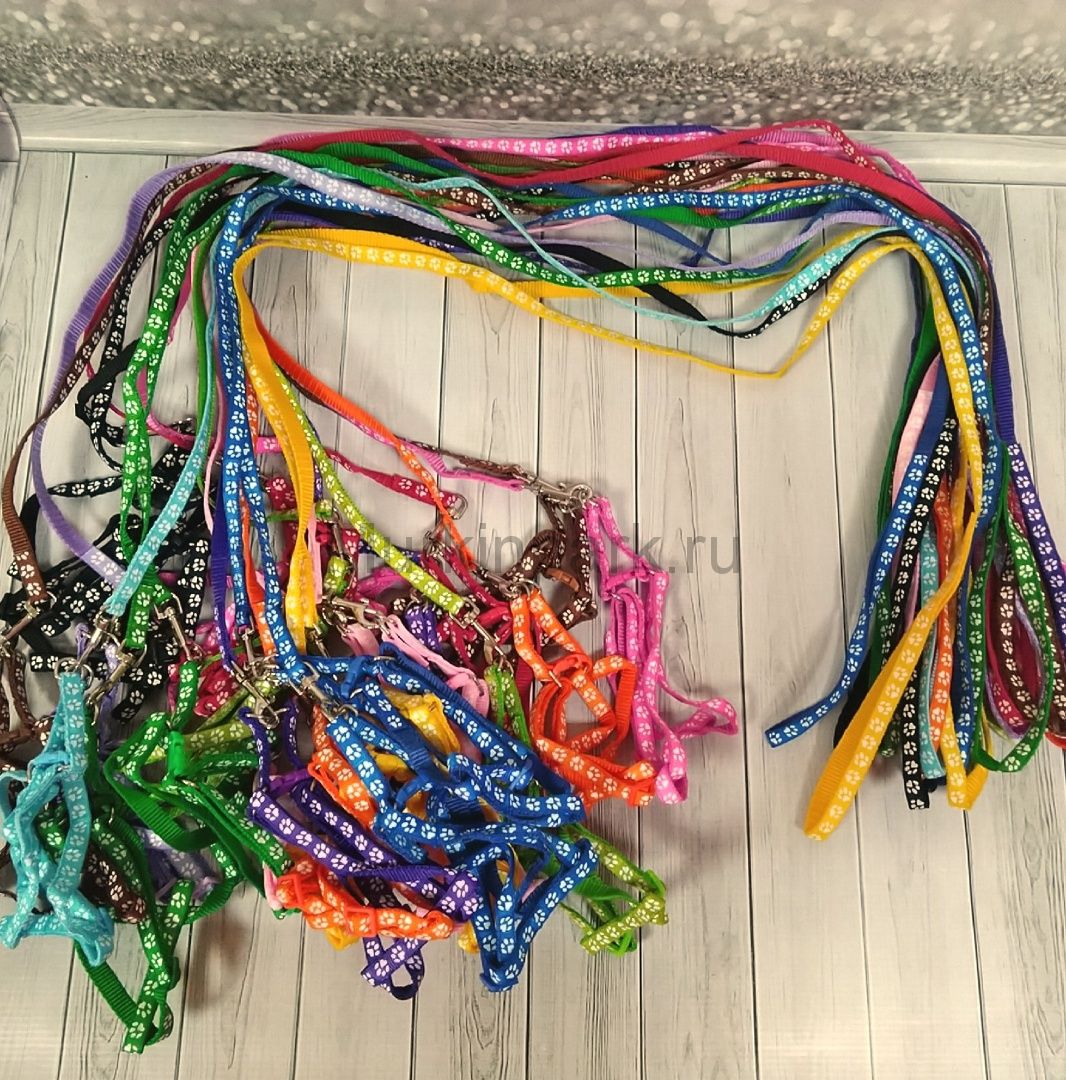 Шлейка Лапка микс цветов