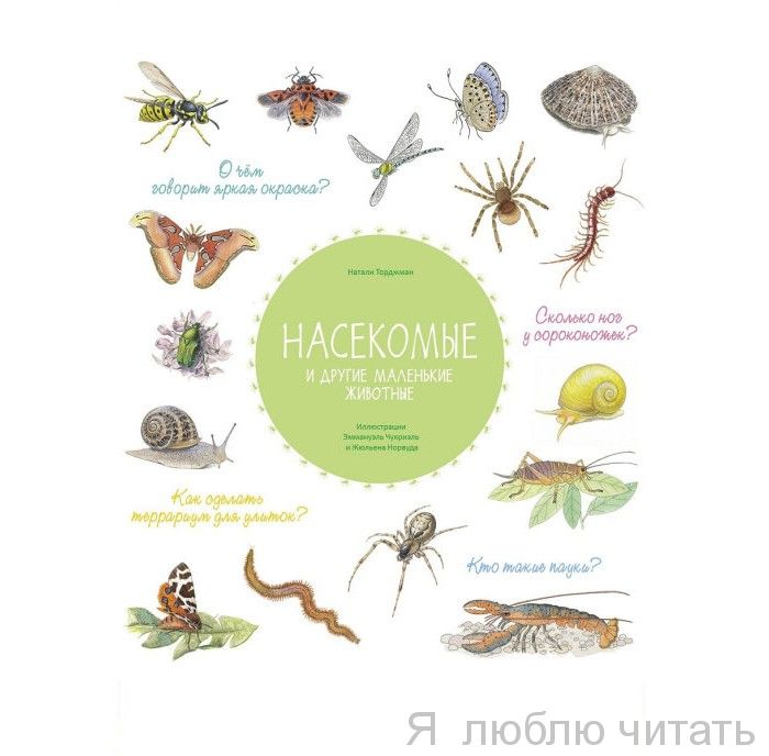 Насекомые и другие маленькие животные