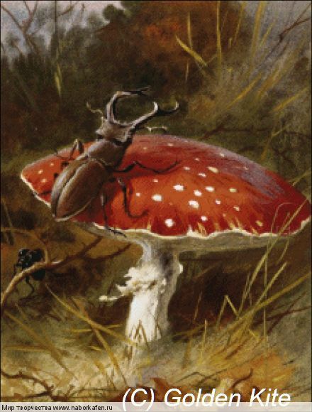 Набор для вышивания "2176 Stag Beetle and a Toadstool"