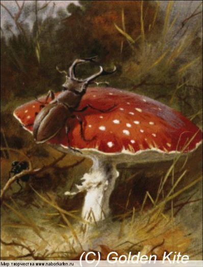 Набор для вышивания "2176 Stag Beetle and a Toadstool"