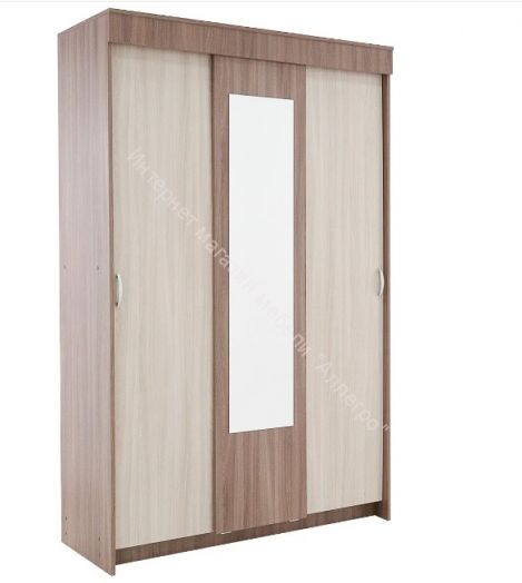 Шкаф купе "Бассо" 1,3