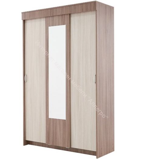 Шкаф купе "Бассо" 1,3