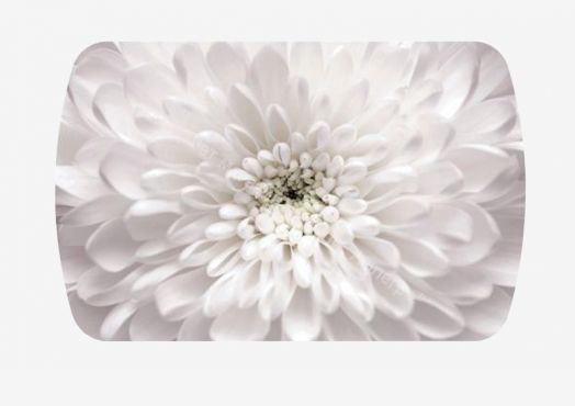 Стол "Бостон 3" раздвижной (Флоренс/Брифинг белые)