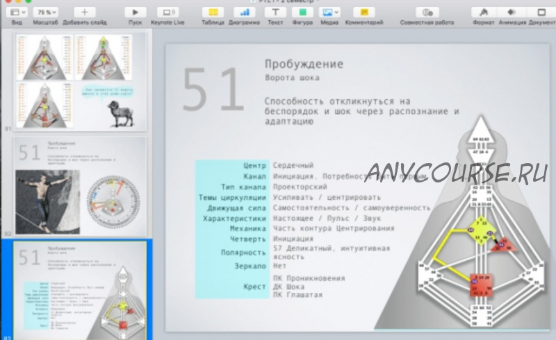 [Дизайн Человека] Курс «PTL I» месяц 7 (Виктор Крючков)