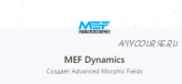 [MEF Dynamics] Морфические поля (подписка на 1 месяц)