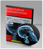 Краниосакральная терапия. Коррекция после черепно-мозговых травм (Людмила Васильева)