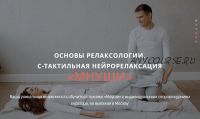 Основы релаксологии. С-тактильная нейрорелаксация «мнуши». Пакет Релаксолог (Алексей Шкипер)