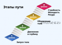 Твой путь к стройности и молодости. 3 месяц (Светлана Рахманова)