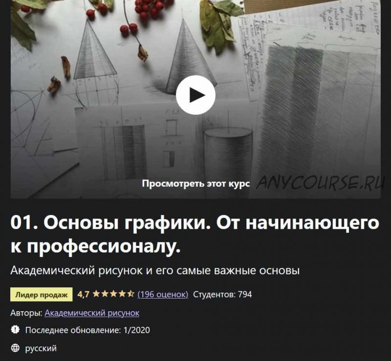 Основы графики. От начинающего к профессионалу (Дарья Остапенко - Праведникова)