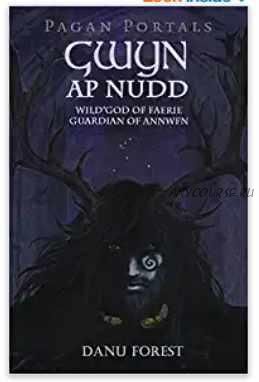 Pagan Portals - Gwyn ap Nudd: Wild God of Faery, Guardian of Annwfn (Danu Forest)