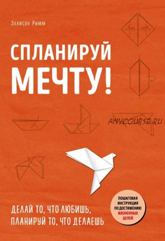 Спланируй мечту. Пошаговая инструкция по достижению жизненных целей (Римм Элисон)