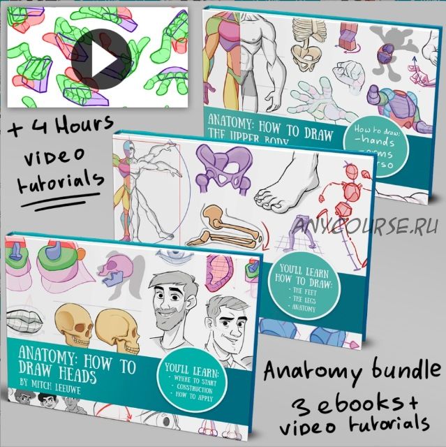 Полный комплект по рисованию анатомии / Anatomy complete bundle (Mitch Leeuwe)