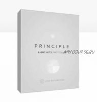 Премиум фотоэффекты для Photoshop - Principle Light hits, 2019 (Lens Distortions)