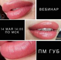 Вебинар ПМ Губы (Дмитрий Хаткин)