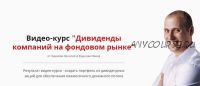 [Школа финансов и инвестиций] Дивиденды компаний на фондовом рынке 2021 (Василий Жданов,Иван Жданов)