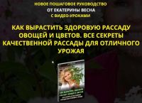 Как вырастить здоровую рассаду овощей и цветов. Все секреты качественной рассады для отличного урожая (Екатерина Весна)