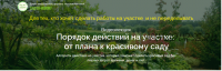 Порядок действий на участке: от плана к красивому саду (Наталья Мягкова)