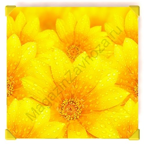 Столешница желт с рисунком №6