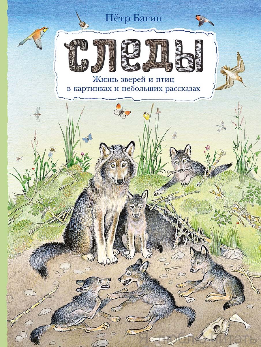 Следы