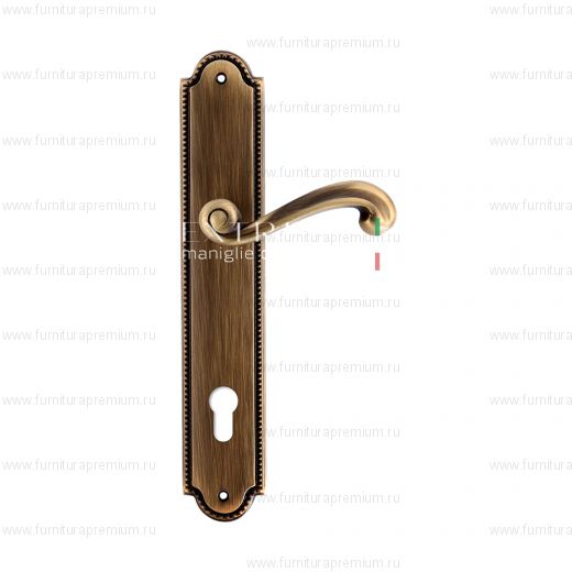 Ручка на планке Extreza Berta 312 CYL PL03