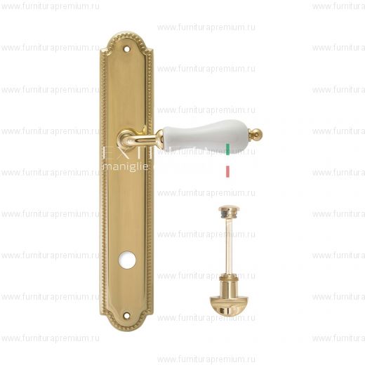 Ручка на планке Extreza Dana 305 WC PL03