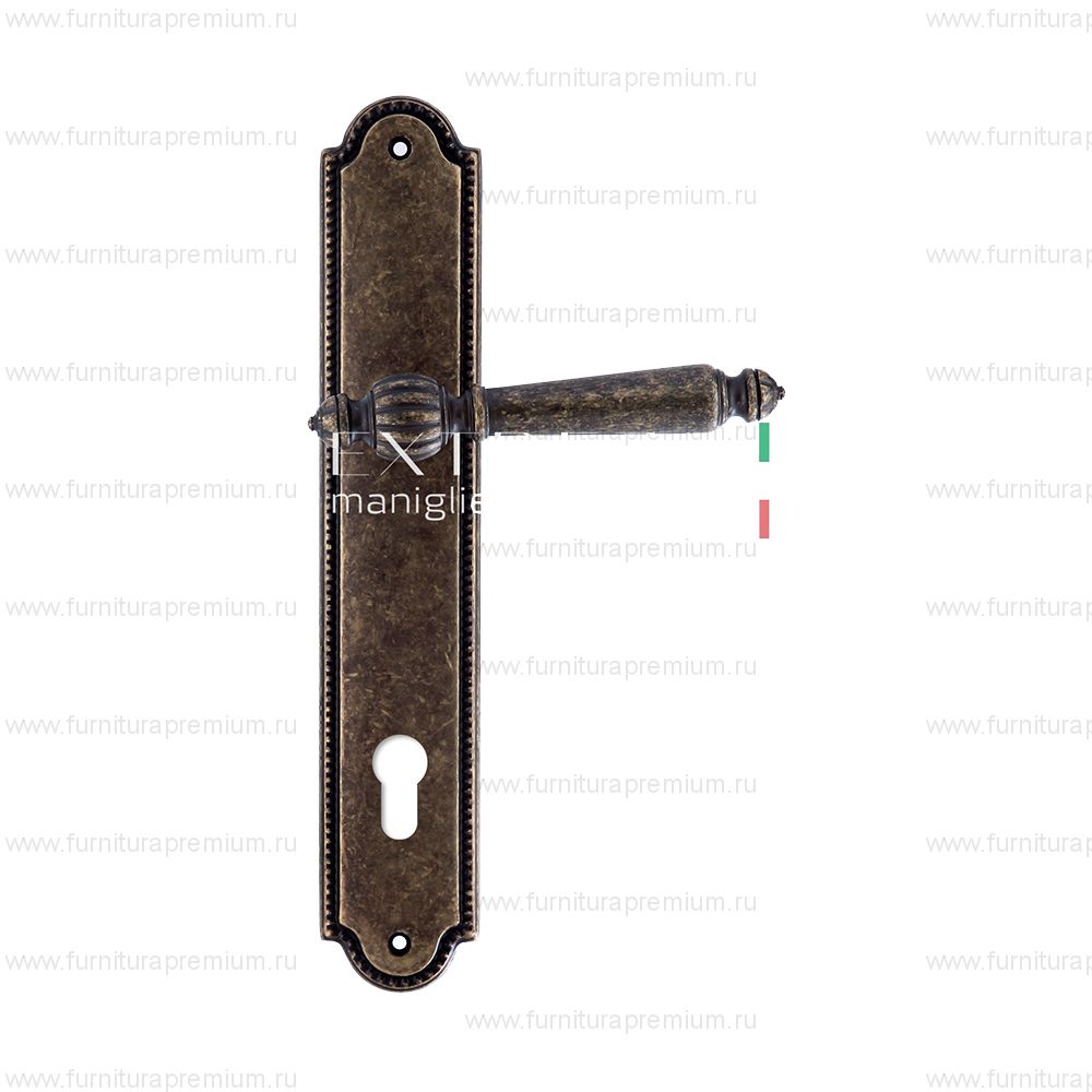 Ручка на планке Extreza Daniel 308 CYL PL03