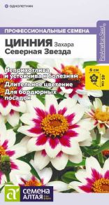 Цинния Захара Северная звезда (Сем Алт)