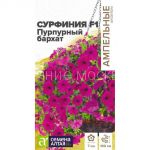Сурфиния Пурпурный Бархат F1 (Сем Алт) Ампельные шедевры