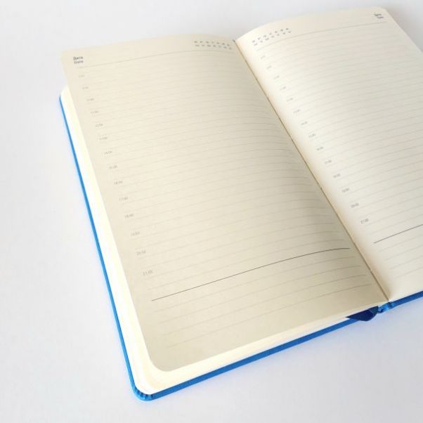 Ежедневник Hamilton голубой