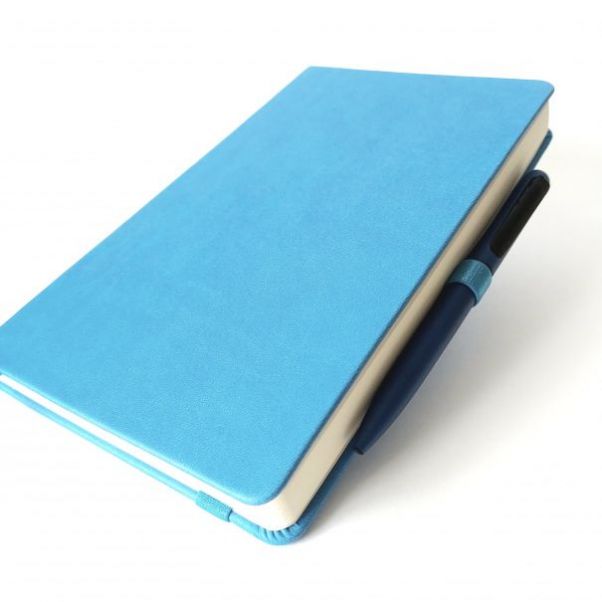 Ежедневник Hamilton голубой