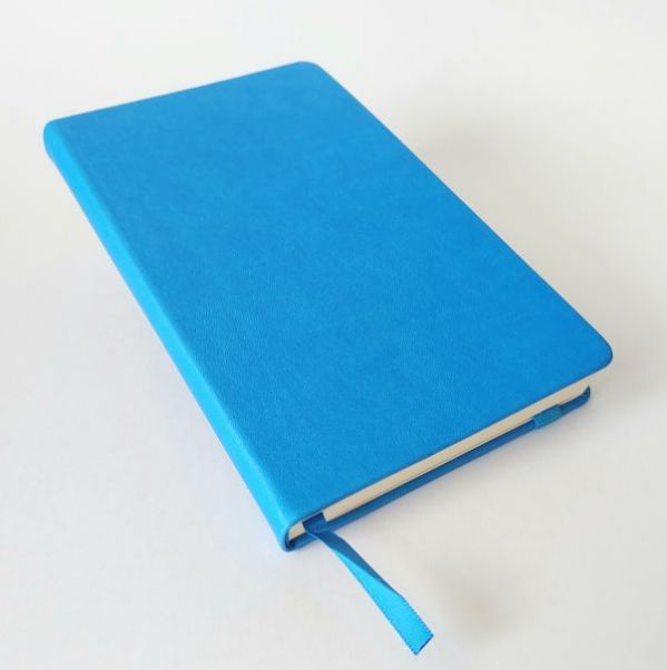 Ежедневник Hamilton голубой