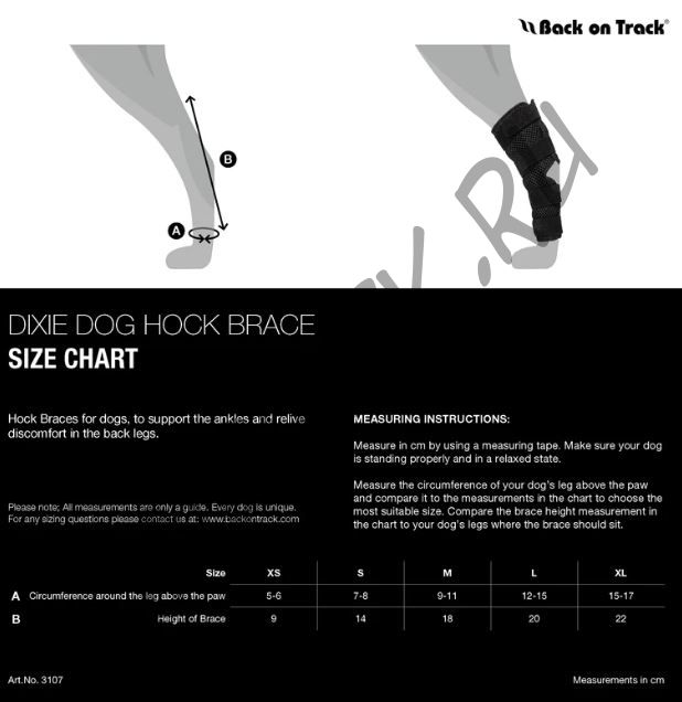 Бандажи (пара)  для собаки на скакательный сустав и коленное сухожилие Back on Track Dixie