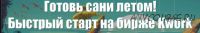 Тренинг «Скворча» №2 — готовь сани летом: быстрый старт на бирже Kwork (15-31 августа 2016)