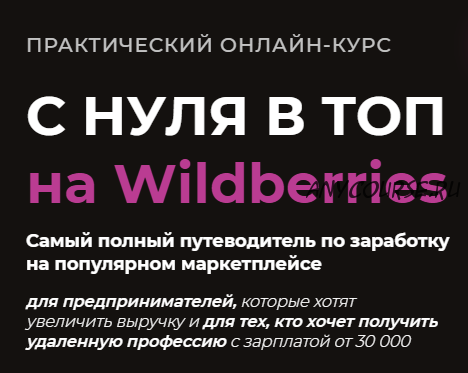 С нуля в топ на Wildberries. Тариф 'Предприниматель' (Олег Дегтярев, Нелли Дегтярева)