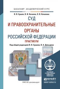 Суд и правоохранительные органы РФ. Практикум. Учебное пособие для академического бакалавриата