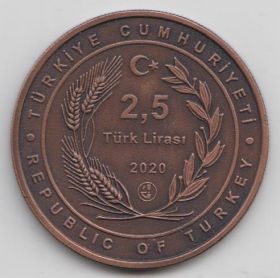 Турция 2,5 лиры "100 летие открытия Анатолийского агентства Анадолу" 2020 год UNC