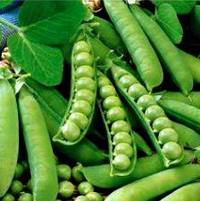 Горох Беркут, 25г семян