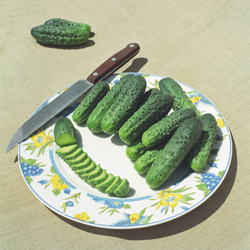 Огурец АЛЬЯНС F1, 500 семян