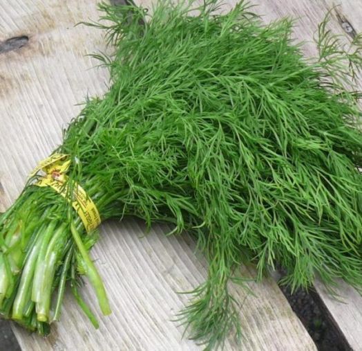 Укроп Грибовский, 10г семян