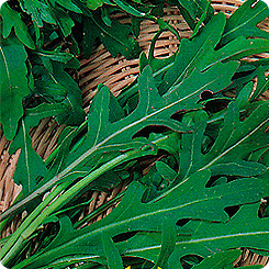 Руккола СИЦИЛИЯ, 25г семян