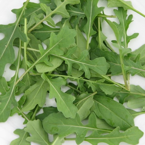 Индау (руккола) Гурман, 10г семян