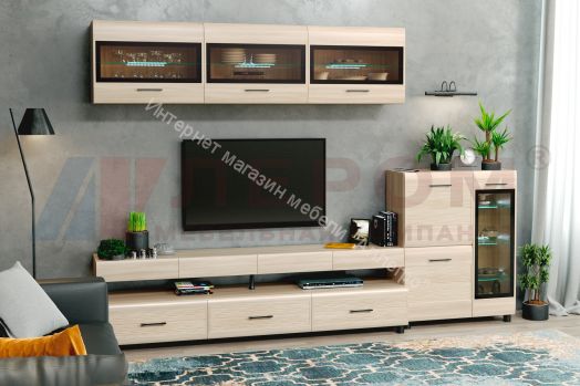 Гостиная КАМЕЛИЯ 12