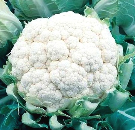 Капуста цветная Сноуболл 123, 5г семян