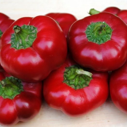 Перец сладкий Колобок, 50шт семян